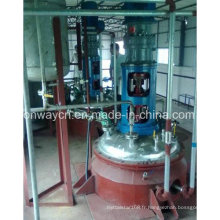 Fj High Efficent Factory Price Synthèse hydrothermique pharmaceutique Agitated Hydrogenation Quartz Reactor